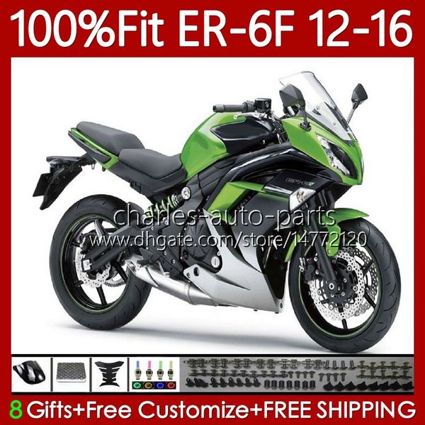 Corpo stampo ad iniezione per KAWASAKI NINJA 650R 650 R ER6 F ER 6F 2012-2016 Carrozzeria 136No.9 ER-6F ER6F 12 13 14 15 16 650-R 2012 2013 2014 2015 2016 Kit carenatura OEM Verde argento