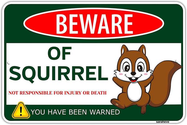 

beware of metal tin funny sign gifts lovers wall decor, decor for squirrel house picnic table