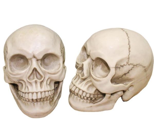 Testa del cranio Halloween Spaventoso Decorazione del partito Resina realistica 1: 1 Human Head Skull Anatomical Teaching Skeleton Model Horror