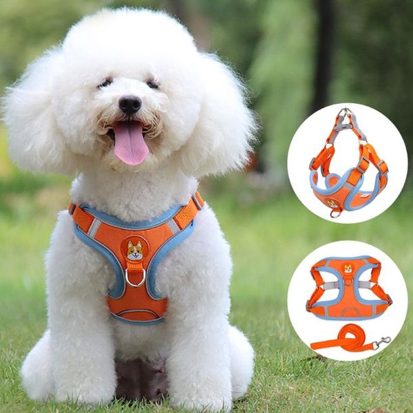 Collari per cani Guinzagli Gilet e guinzaglio per animali domestici Set Corda riflettente Cartone animato Imbracatura carina per piccoli accessori moda