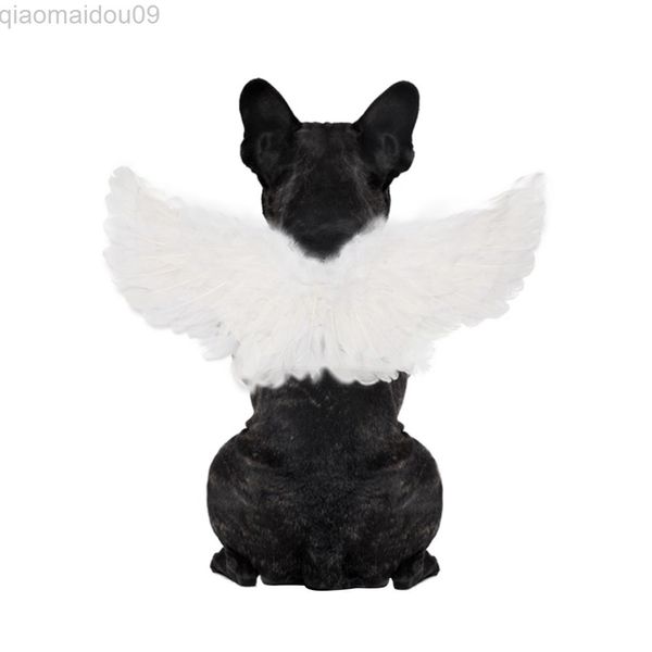 Pet Cadılar Bayramı Gel Cosplay Angel Devil Black White Wings Köpek Kedi Tavşan Piggy Festival Parti Anime Tema Komik Pet Hediye L220810