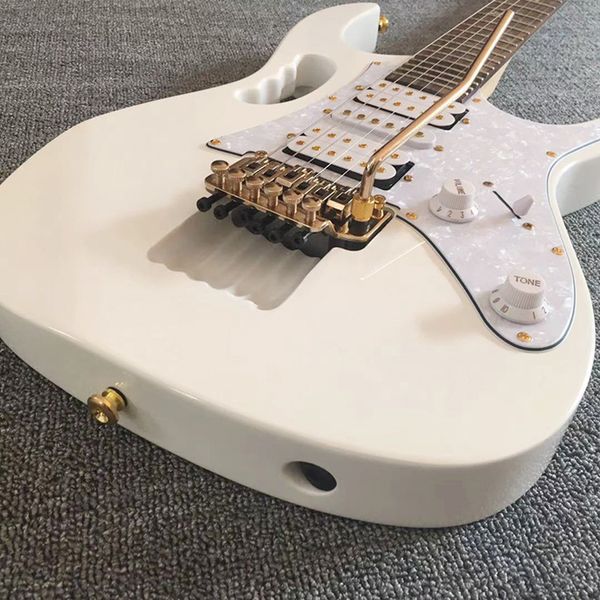 

delivery of all-round electric instruments, professional guitar brands and international quality