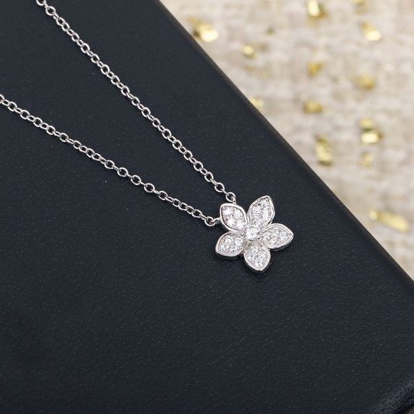 

2022 charm pendant necklace with sparkly diamond for women engagement jewelry drop earring have stamp ps4052a, Silver