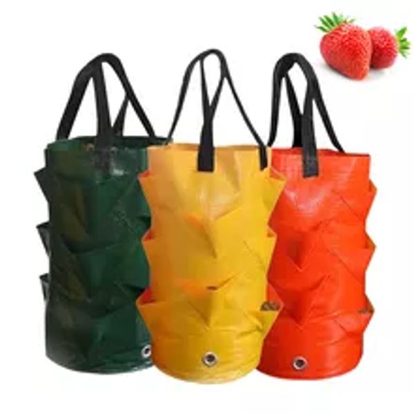 Borsa per piantare giardino Borse per coltivazione di fragole Vasi 3L Multi bocca Fiore verticale Erbe Pomodoro