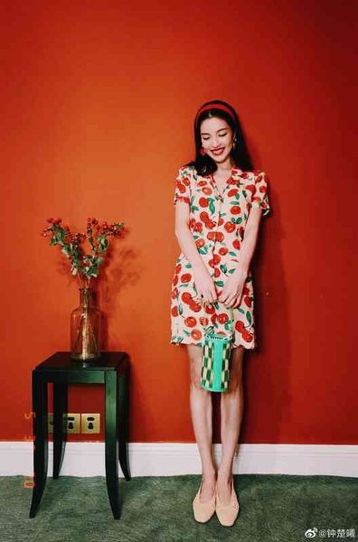 

casual dresses rouje french elegant summer silk print dress 95088 zhong, Black;gray