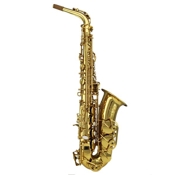 

popular grade classic structure gold lacquer alto saxophone