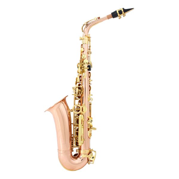 

alto saxofon phosphor bronze body white alto saxophone shell button down e key professional playing sax mouthpiece
