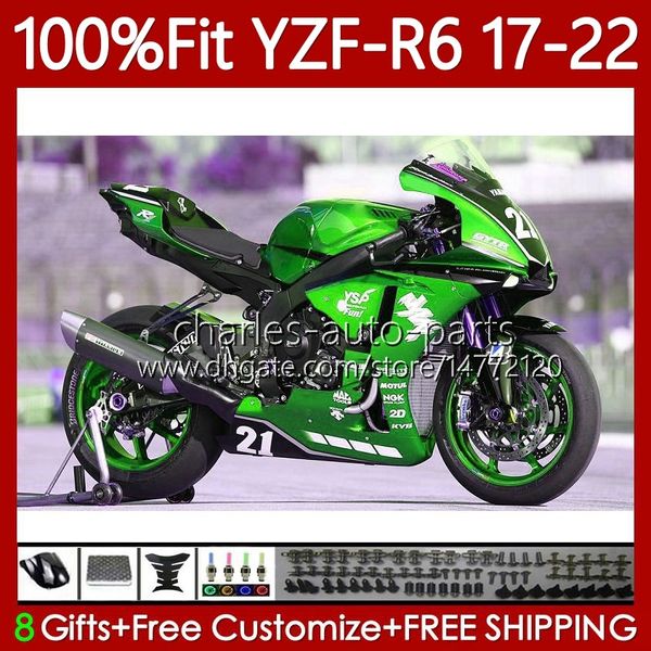 OEM-Injektionskörper für Yamaha YZF-R6 YZF R6 R 6 600 CC YZF-600 2017 2018 2019 20 21 22 119NO.259 Karossergebnis YZF600 2017-2022 YZFR6 17 18 19 2020 2021 2022 Hellgrüne Verkleidung