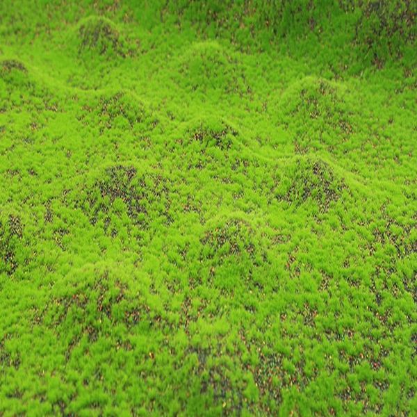 Декоративные цветы венки квадратный метр искусственные зеленые мохи трава маты растения искусственные газоны газоны ковры для садовой домашней вечеринки