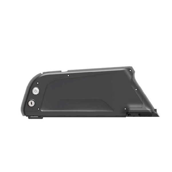 

original electric bike batteries 48v 14ah 36v 52v dolphin 30a bms 350w 500w 750w 1000w 18650 cell ebike battery