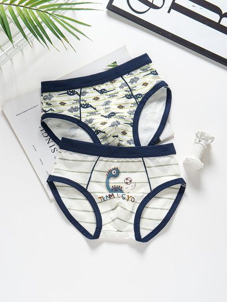 

toddler boys 2pcs slogan and dinosaur print brief she, Camo