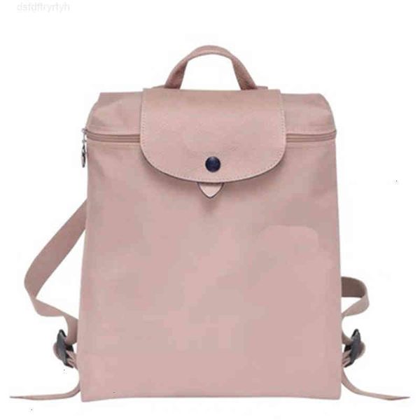 

Retail Wholesale Backpack bags Designer Luxury Fashion Women Solid Color Casual Oxford Backpacks Travel Large Capacity Waterproof Nylon Single Shoulder Bag, Brown grey with logo