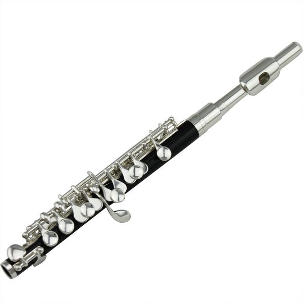 

intermediate grade abs body silver plated piccolo