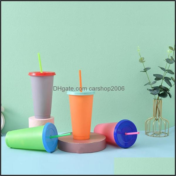 Canecas Drinkwares Cozinha Bar Garden Home Garden 700ml Cores de cores Copo reutilizável de água de água e ecologicamente correto