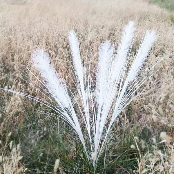 Party Dekoration Künstliche Pfau Gras Hochzeit Requisiten Blume Phoenix Feder Fliegende Blatt Reed Zwiebel Dekorative RequisitenParty