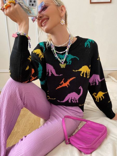 

dinosaur graphic raglan sleeve sweater v8od#, White;black