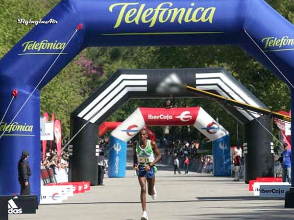 

8m/10m/12m outdoor inflatable advertising arch logo arch with custom printing