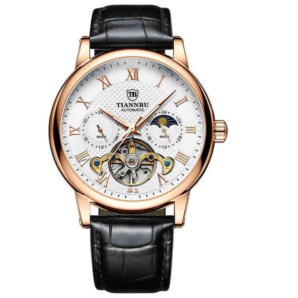 

luxury mens designer watches tiannbu tianbo sun moon star mechanical watch luminous waterproof automatic men's multifunctional fashion, Slivery;brown