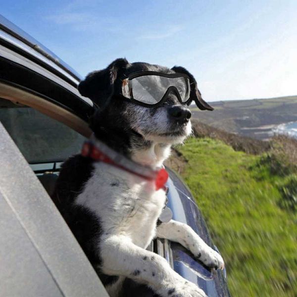 Orta Moda Pet Köpek Gözlük Büyük Köpek Pet Gözlük PET Gözlük Su Geçirmez Köpek Koruma Gözlük UV Güneş Gözlüğü