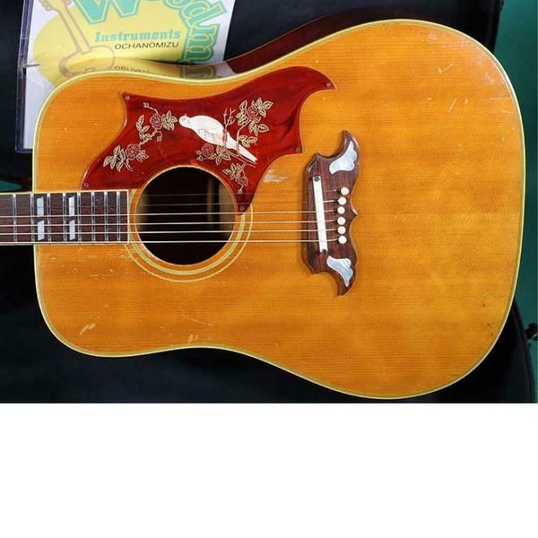 

dove nt acoustic guitar