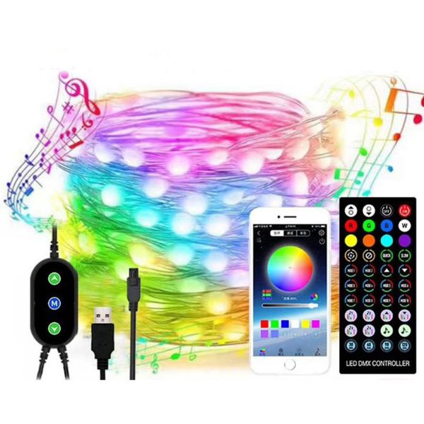 Strings LED Music Sync 5m 10m 20m RGB Fairy String Light WS2812B SK6812 Pixel USB Addressable Individuell Bluetooth-kompatibelLED StringsL