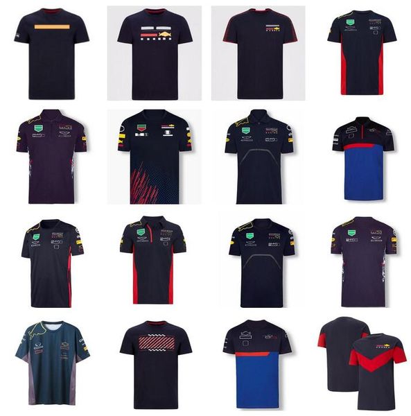 

f1 racing suit men's short-sleeved lapel polo shirt motorcycle team t-shirt car overalls logo customization, Black;gray