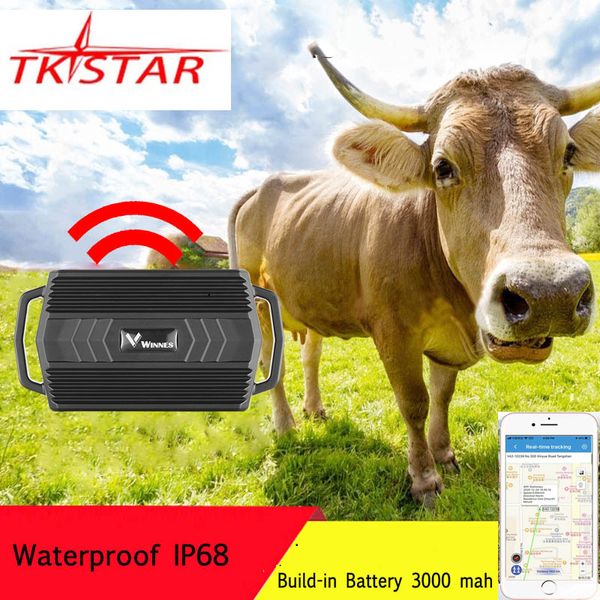 Localizzatore GPS Animale per mucca Cammello Pecora Allarme anti-smarrimento Localizzatore 3000mAh Magnete per auto impermeabile Monitor vocale APP Web gratuita