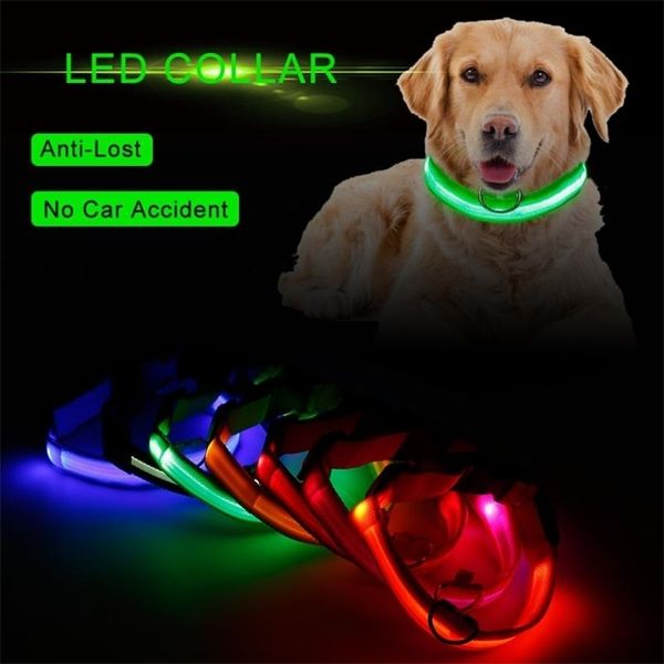 Nylon liderado para cães de estimação de gola de cão noturno de segurança antilost piscando brilho no cão escuro cães cães cães luminosos gola fluorescente suprimento de estimação 220610