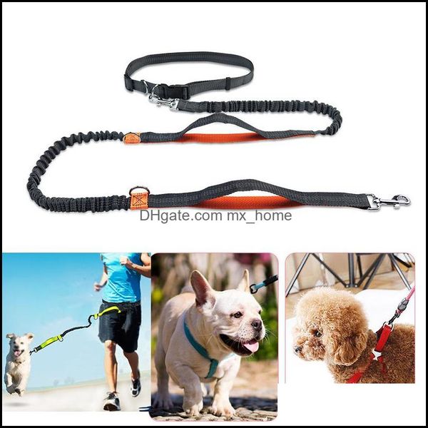 Riflette la luce Flex Guinzagli per cani Cintura da corsa Mtifunction Walk A Collare Catena Forniture per animali Pettorina Consegna con nave di goccia 2021 Collari Hom