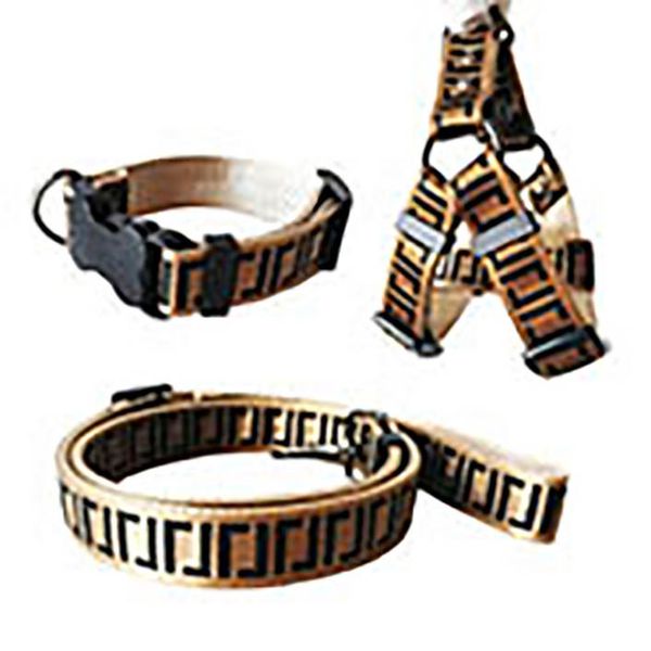 Coleiras para cães, conjunto de coleira para cães, cintos de segurança para animais de estimação, coleira e corrente para animais de estimação, para cães pequenos, médios e grandes, gato