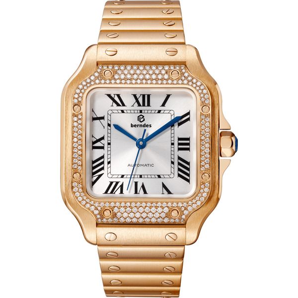 

lovers watch stainless steel watch sapphire glass automatic diamond, Slivery;brown