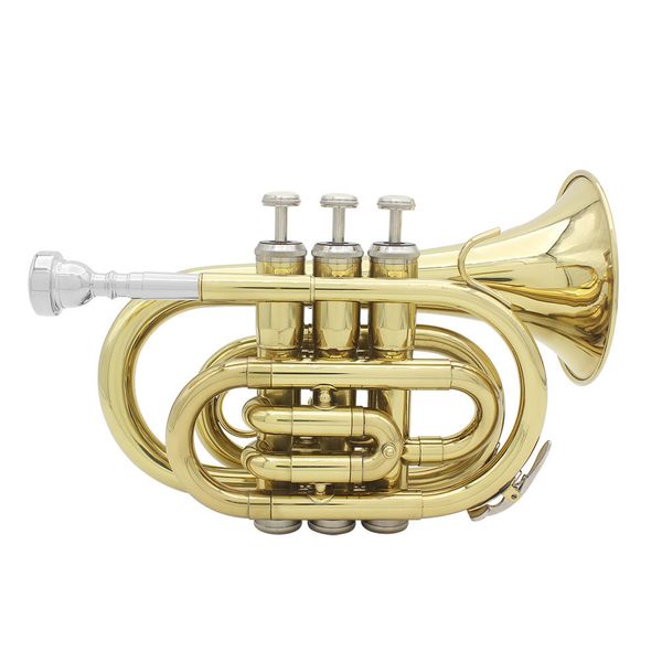 

trumpet bb flat brass wind instrument with mouthpiece gloves cleaning cloth carrying case