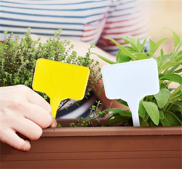 Jardim atacadista fornece grandes etiquetas de plantas plásticas T Tags de jardim de berçário durável para ervas internas de ervas internas flores em vasos de vegetais kd1