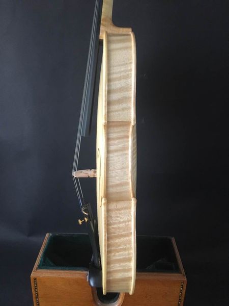 

master 4/4 violin guarneri model clean flamed maple back