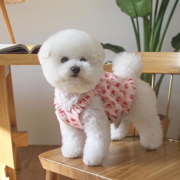Vestido de cachorro adorável design de design de pêssego saia de cachorro fofa pequeno tiro tutu poodle chihuahua teddy verão vestido de verão