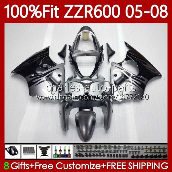 100 % passende Verkleidungen für KAWASAKI NINJA 600CC ZZR-600 600 CC 2005–2008, Silverflames-Karosserie 134Nr