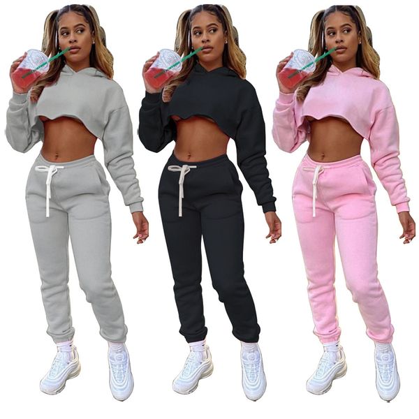 

2022 new fall winter tracksuits hoodies crop clothing for women joggers thick casual 2 piece sweat pants sets jogging suits, Gray