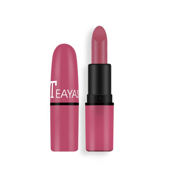 

lips stick long lasting lipstick matte makeup lipgloss waterproof lipstick easy to make up wholesale