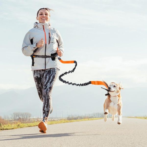 Hundehalsbänder, Leinen, Haustierleine, doppelter Griff, reflektierend, löst die Zweihand-Gürtel-Traktion für Laufen, Gehen und Wandern, Trainingsseil