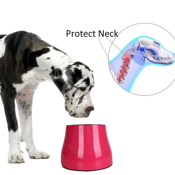 Protect Pets Pets Pescond Pet