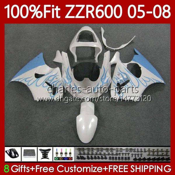 100 % passende Verkleidungen für KAWASAKI NINJA 600CC ZZR-600 600 CC 2005–2008 Karosserie 134Nr