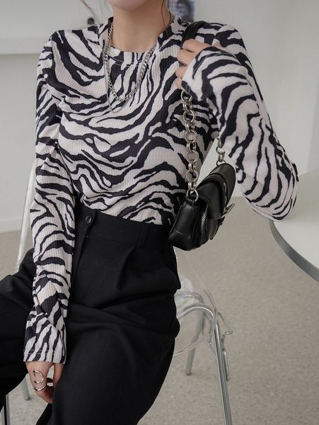 

dazy zebra striped ribbed knit tee k3qe#, White