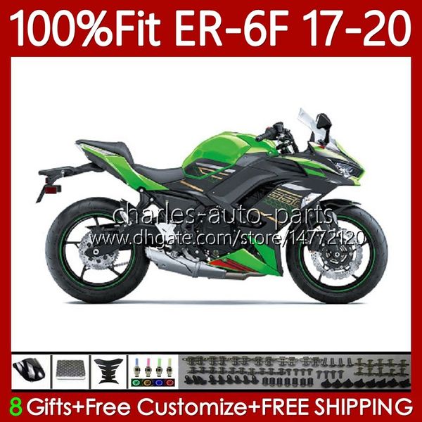 Corpi per stampi ad iniezione per KAWASAKI NINJA 650R ER6 F ER 6F 650 R 2017-2020 Carrozzeria 137No.20 ER-6F ER6F 17 18 19 20 ER6-F 650-R 2017 2018 2019 2020 Kit carenatura OEM Verde grigio