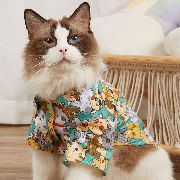 Großhandel blau grün Designer Katzenkostüme Hundekleidung Welpen Bekleidung liefert trendige niedliche Tierhaustierkleidung Sommer neues Katzenshirt Punk Junge Mädchen