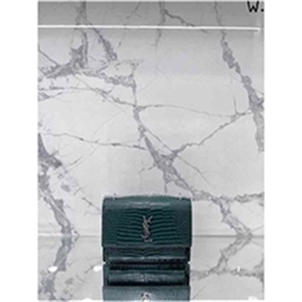 

designer 2022 bag new pattern purchasing agent wang ziwen with the same invincible classic crocodile luxury women's bags