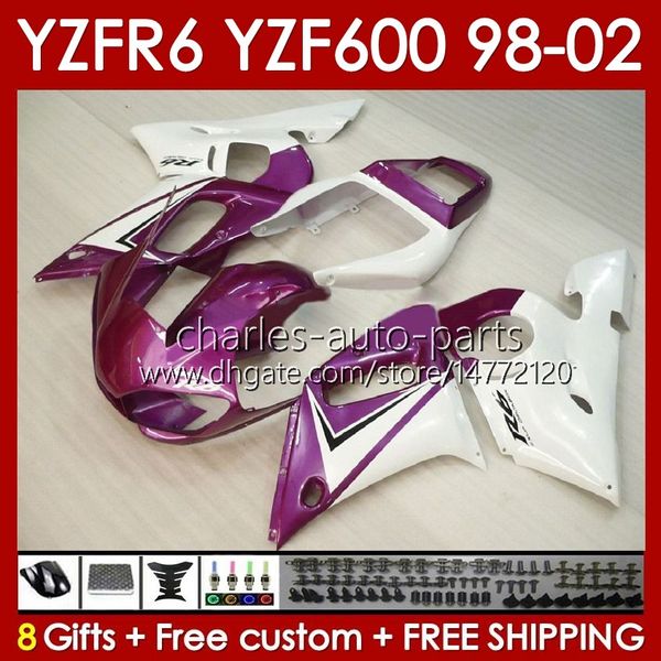 Body Kit für Yamaha YZF R6 R 6 98–02 YZFR6 98 99 00 01 02 Karosserie 145Nr