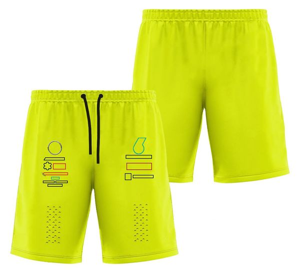 F1 Team Fórmula 1 Shorts Motocross Shorts esportivos masculinos Calças casuais ao ar livre Camisetas para fãs de corrida