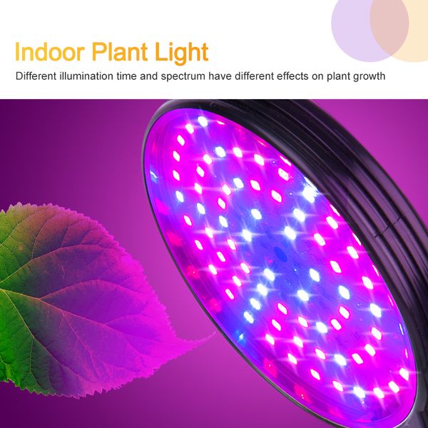 LED Grow Light com clipe flexível de 360 graus Fonte de alimentação USB Desktop LED Planta Growth