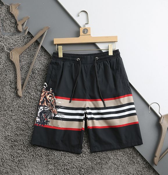

famous men's shorts summer swimming trunks turtle bermuda beach shorts speed surfing travel vacation street letter printing clothingm-4, White;black