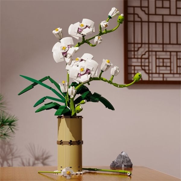 Kutulu Phalaenopsis Bouque saksı kırmızı erik çiçeği çiçekler yapı taşları Buket Vazo Tuğla Toys Hediye Ev Dekoru 220715